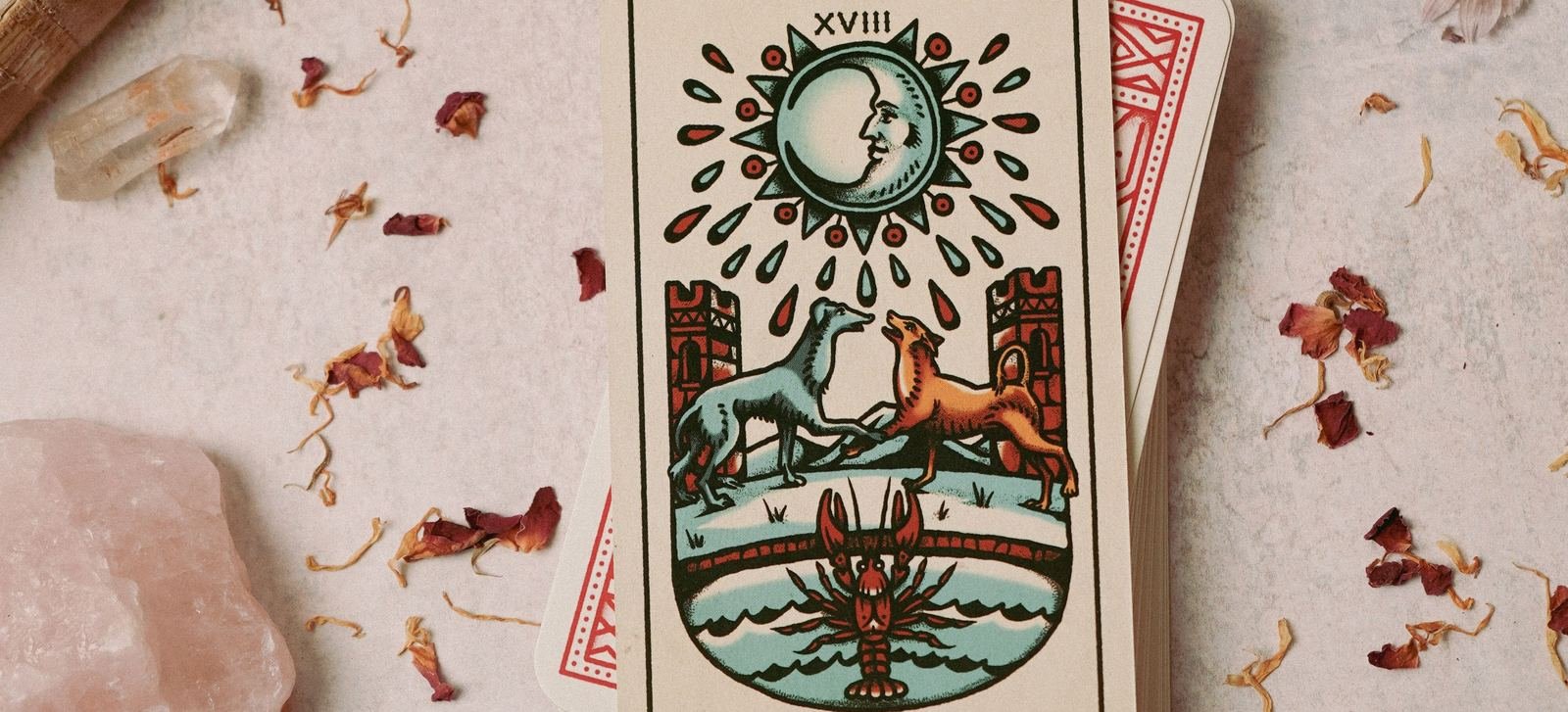 Carta de tarot La Luna rodeada de cuarzos y pétalos secos